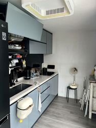 Palmera East (D14), Apartment #474069711